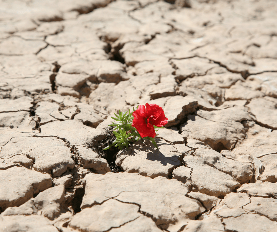 Faire Face à la Réalité : Comprendre le Déni chez les Familles Touchées par le Syndrome de&nbsp;Rett